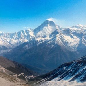 Meet your Posher, Harley